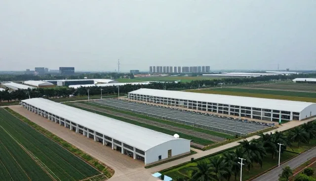 品牌传播中多平台分发的选型核心要素分析