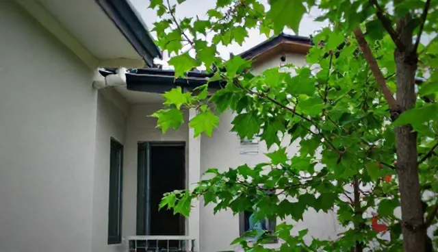 视频剪辑选型关注点：应用场景分析与限制说明